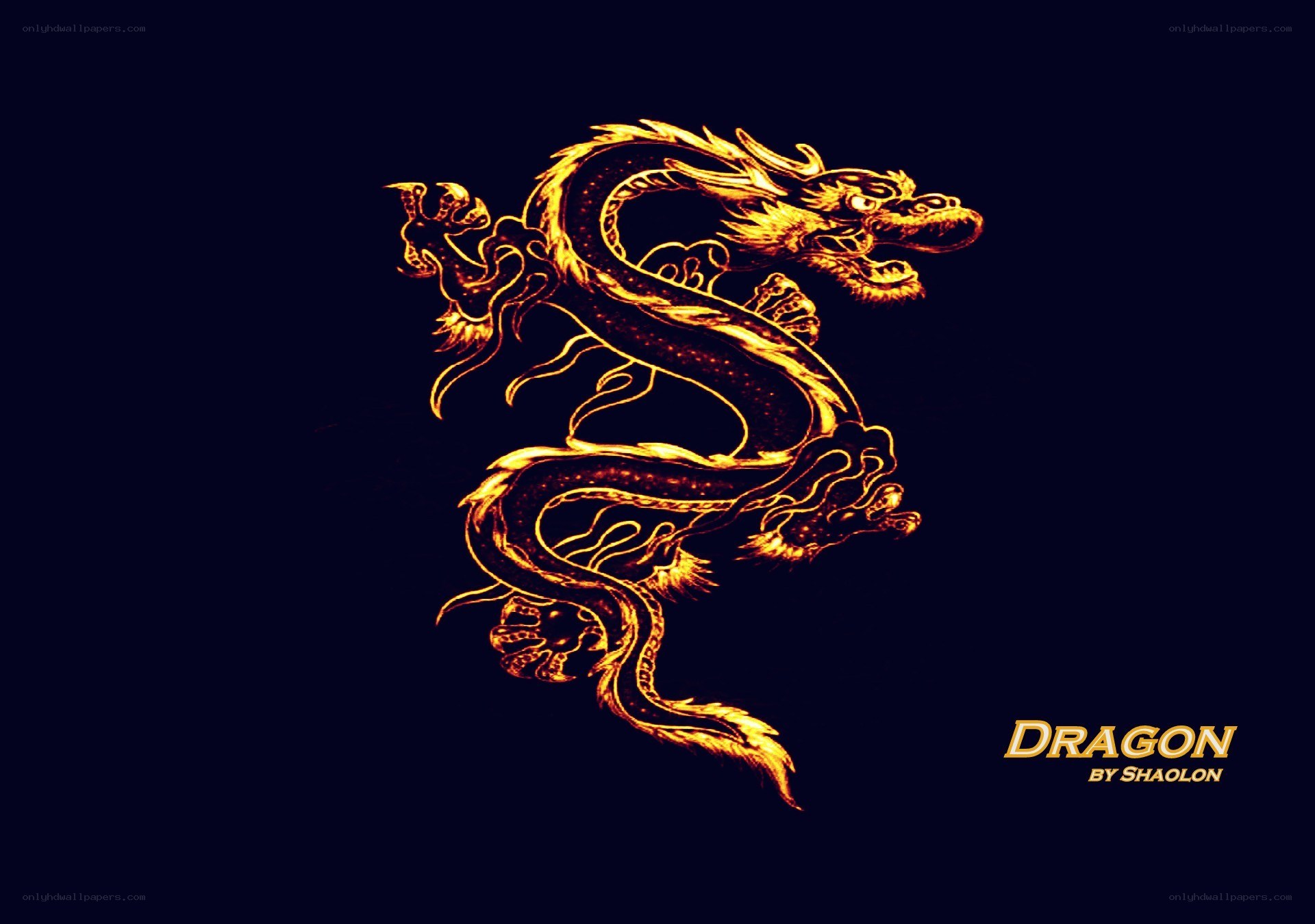 Golden dragon artwork