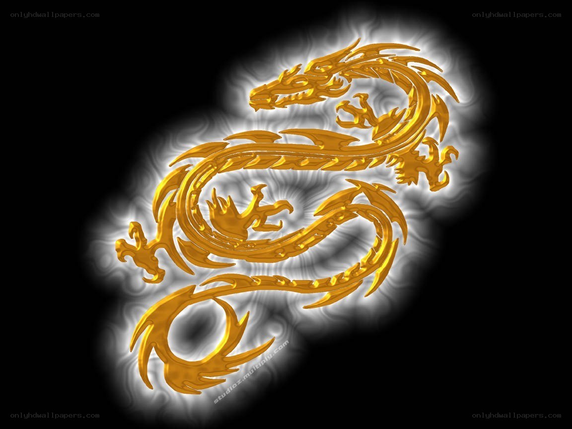 golden dragon design