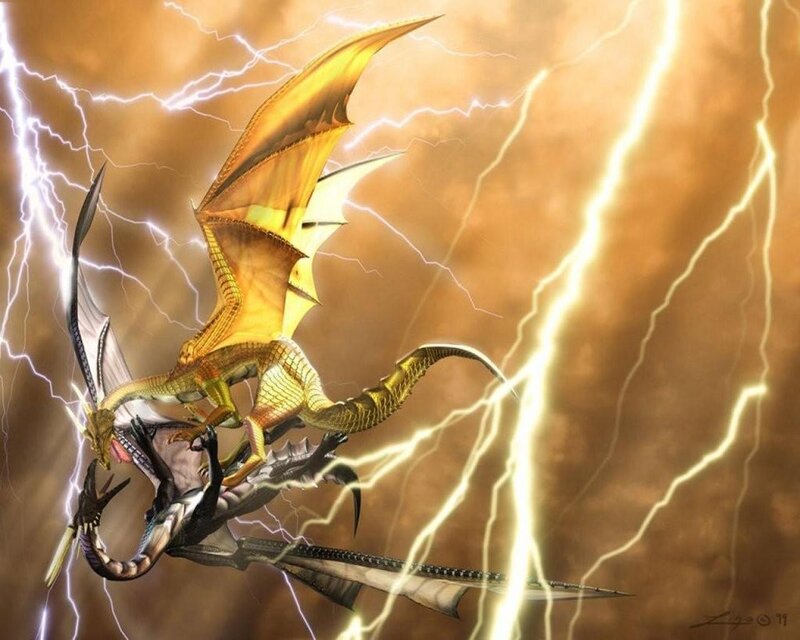 Golden Dragon Fighting Black Dragon