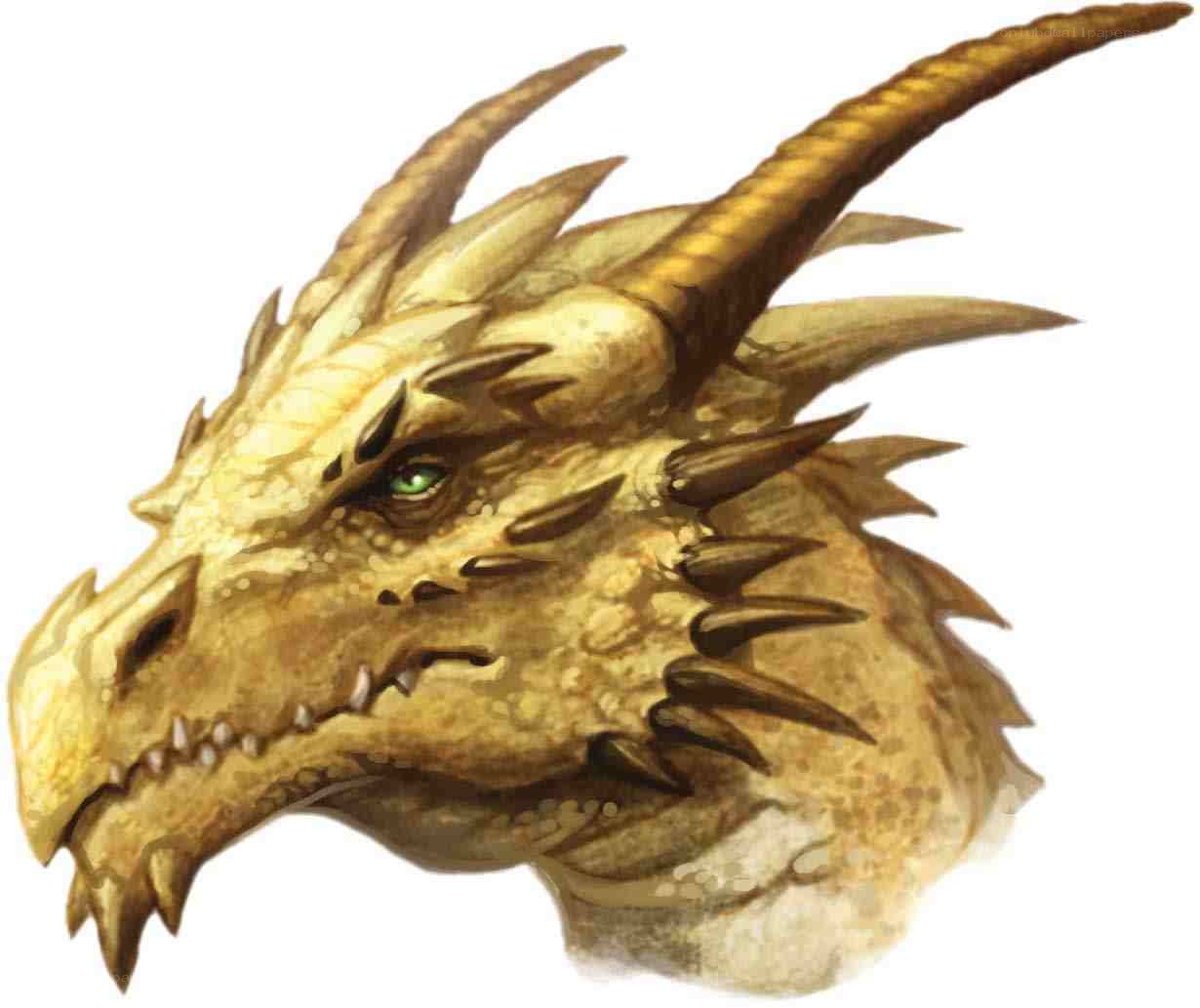 golden dragon head portrait