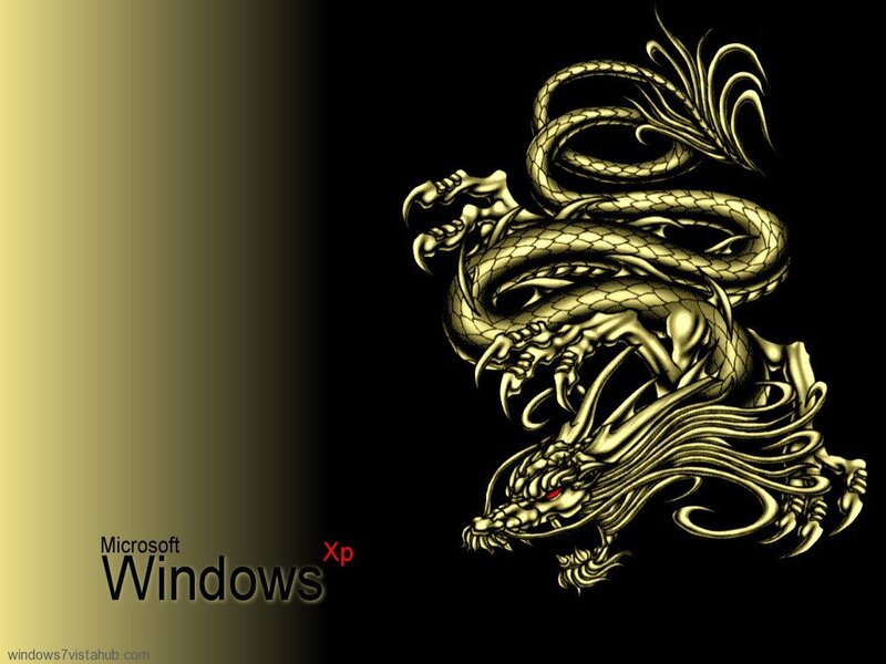 Golden Dragon Illustration — Black