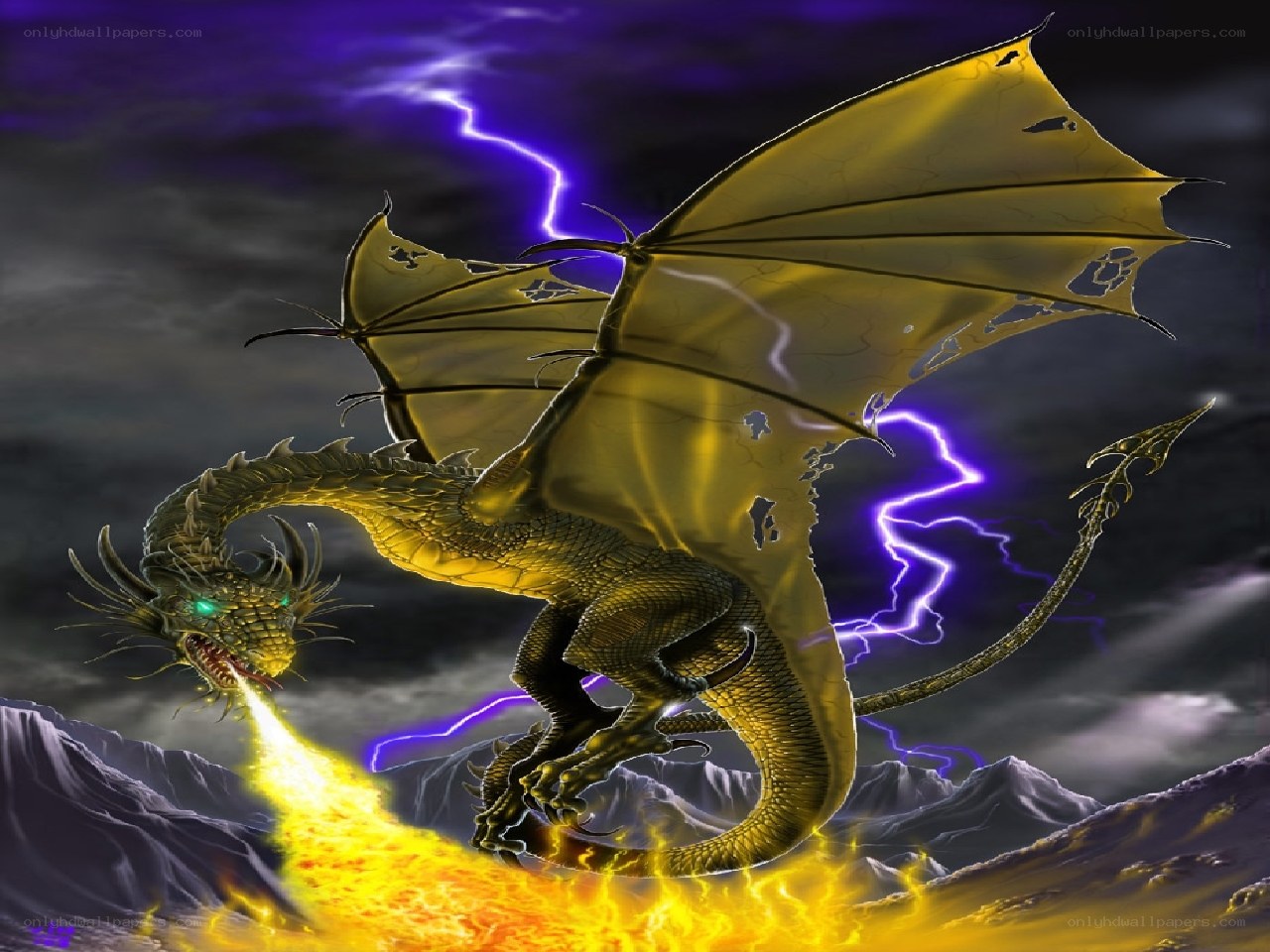 Golden dragon in storm
