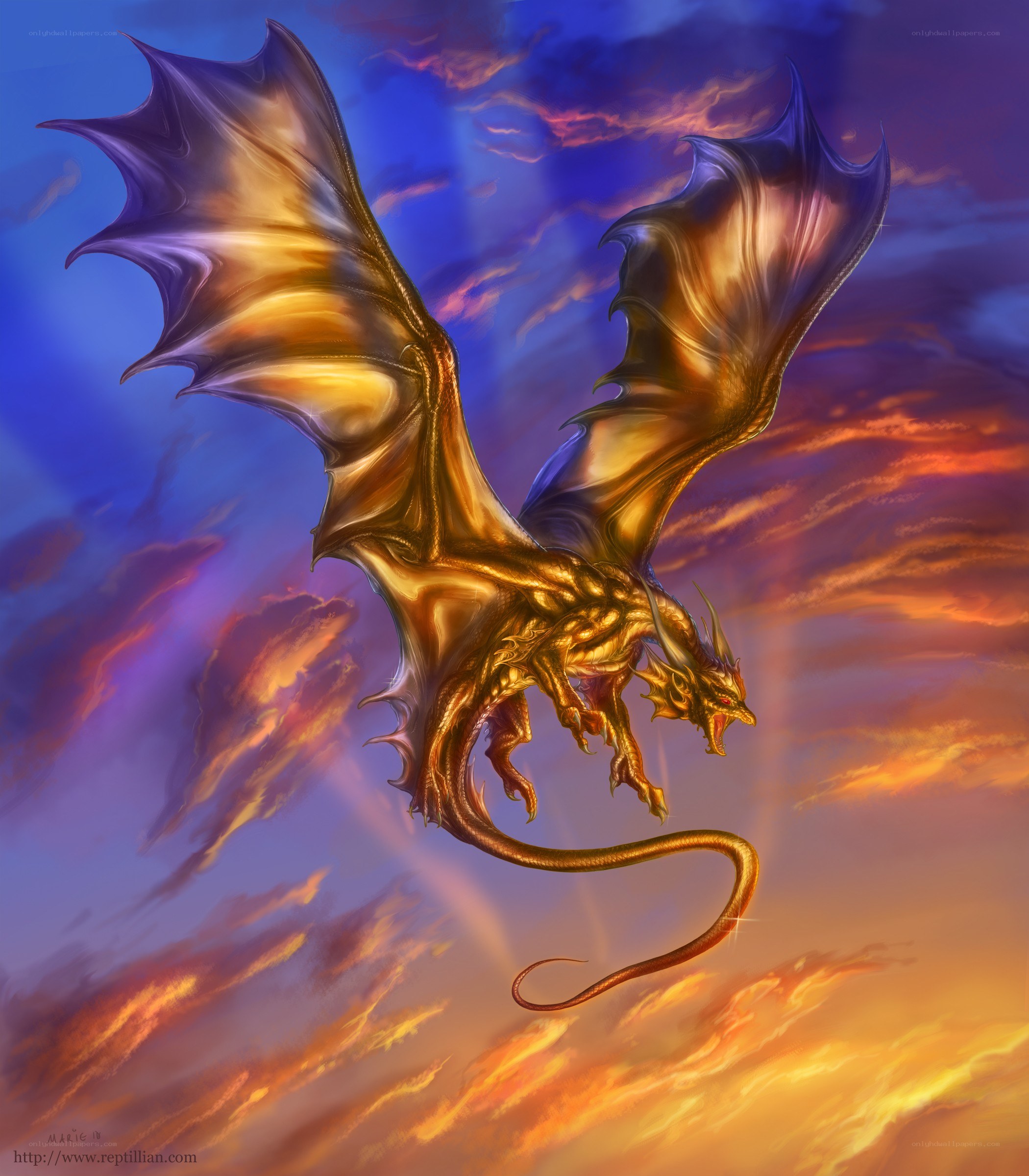 Golden dragon in sunset sky