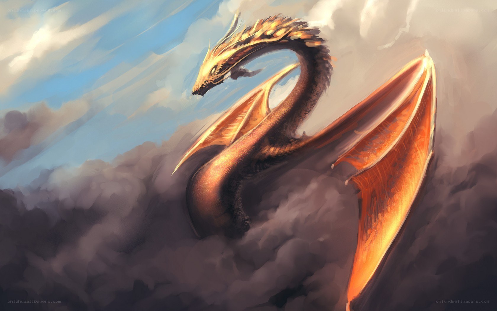 golden dragon in the clouds