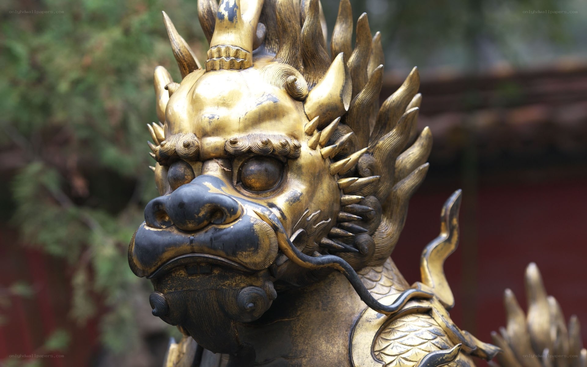 Golden dragon statue detail