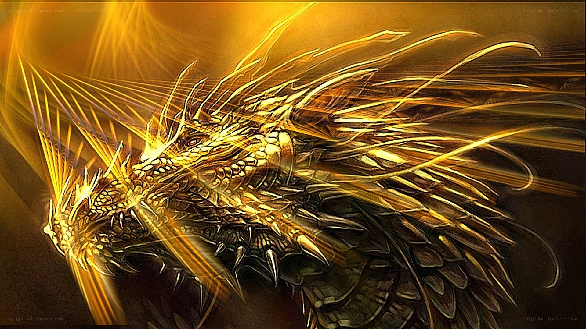 golden dragon with radiant light