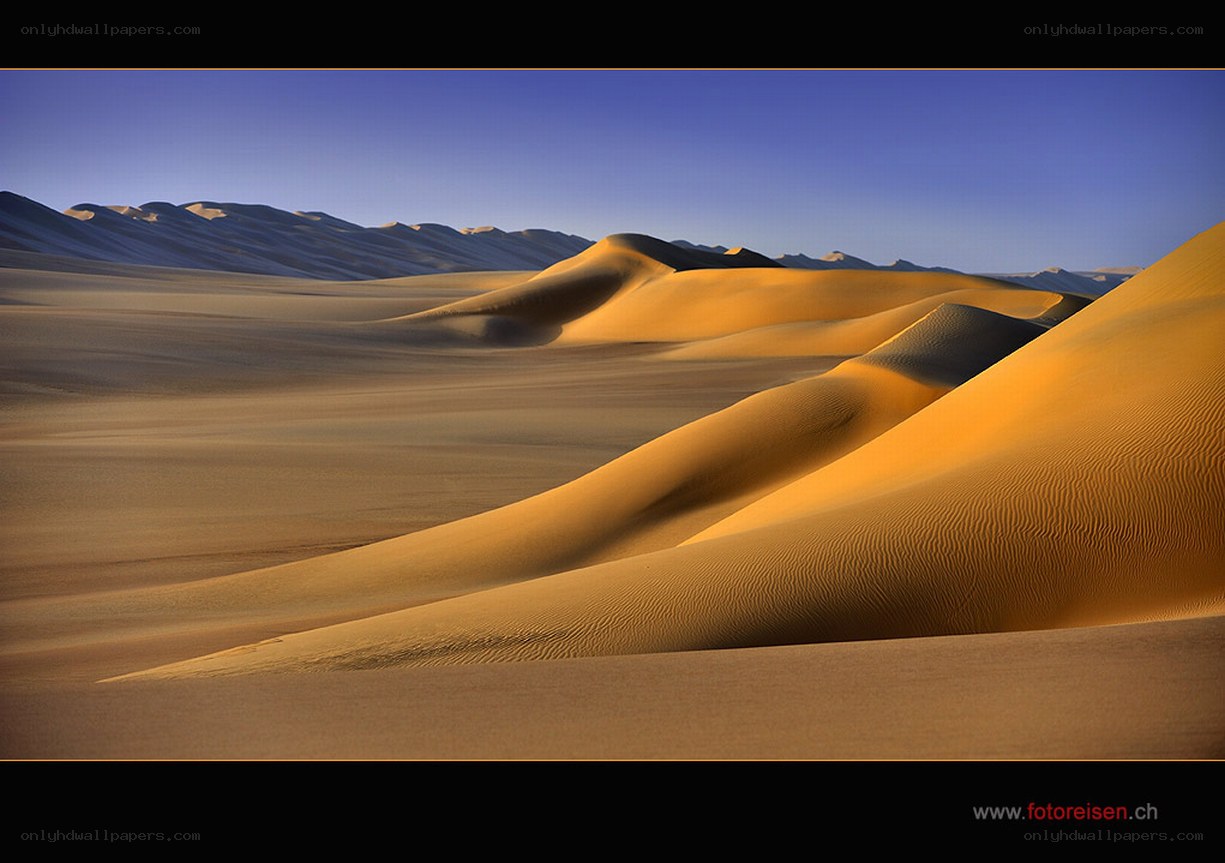 Golden dunes at sunrise
