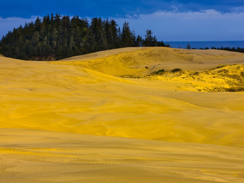 Golden dunes at sunset