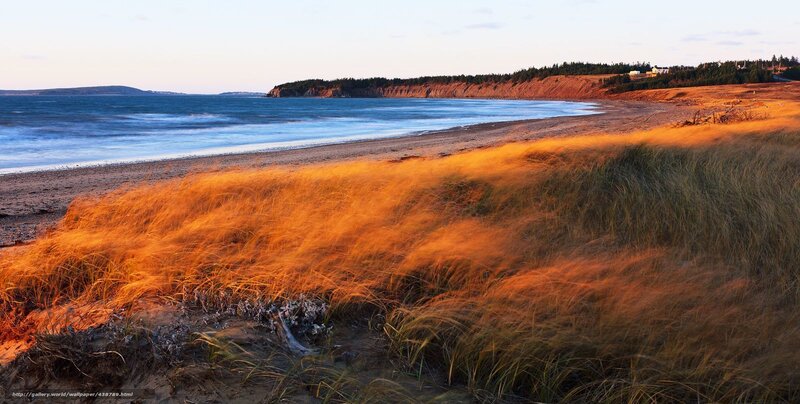 Golden dunes at sunset