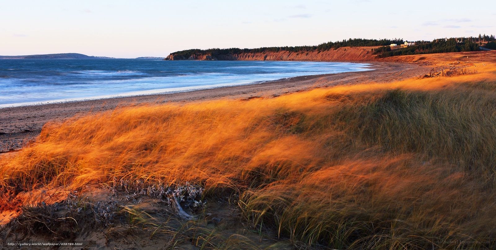 Golden dunes at sunset
