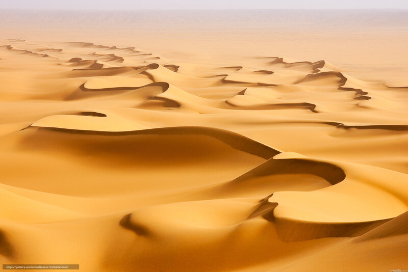 Golden dunes of the desert