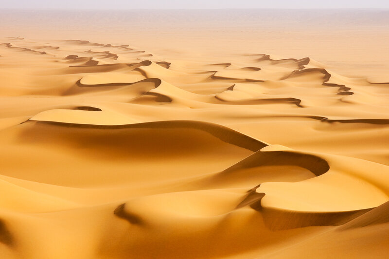 Golden dunes of the desert