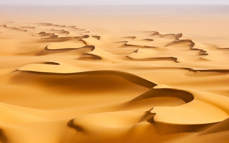 Golden dunes of the desert