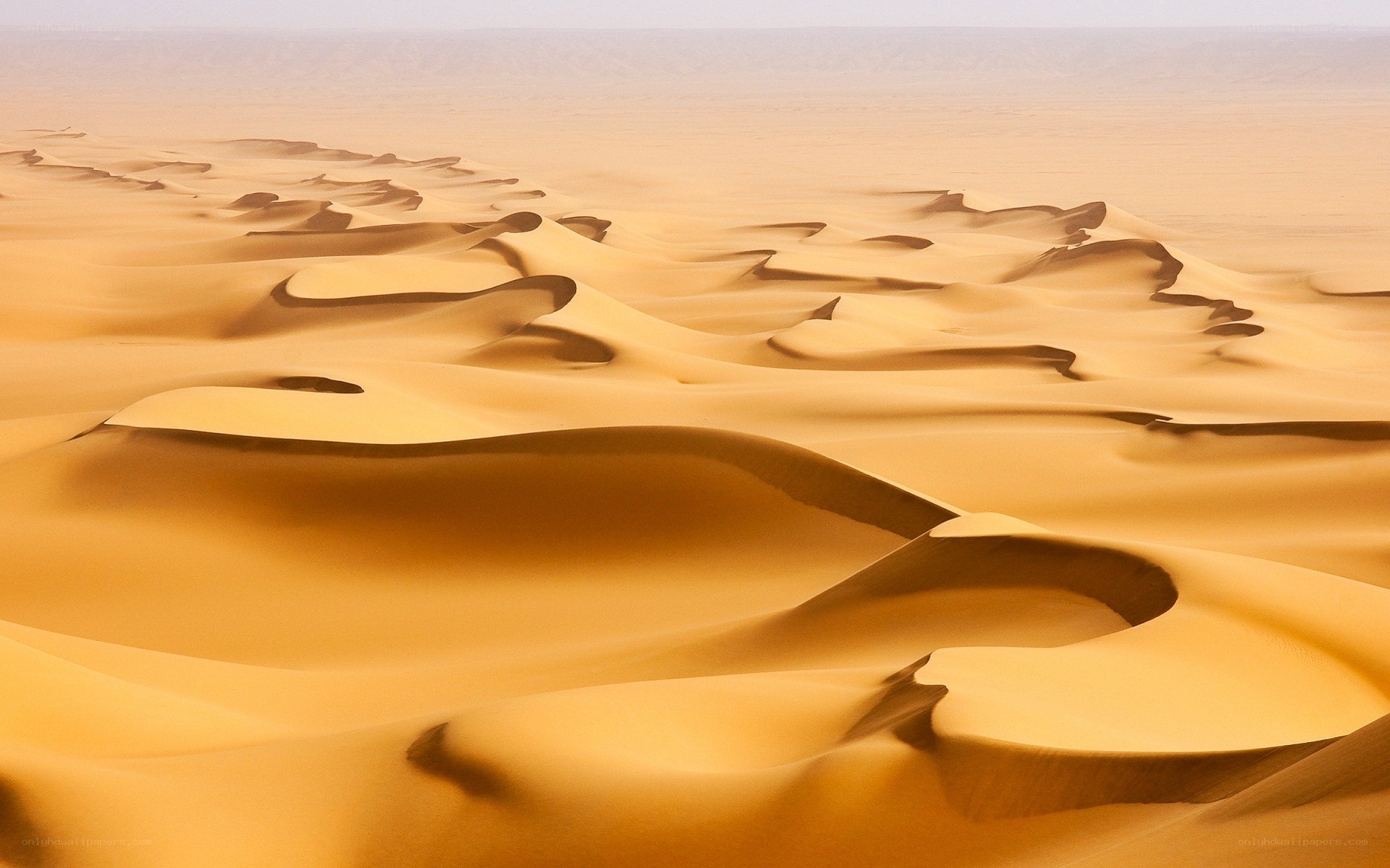 Golden dunes of the desert