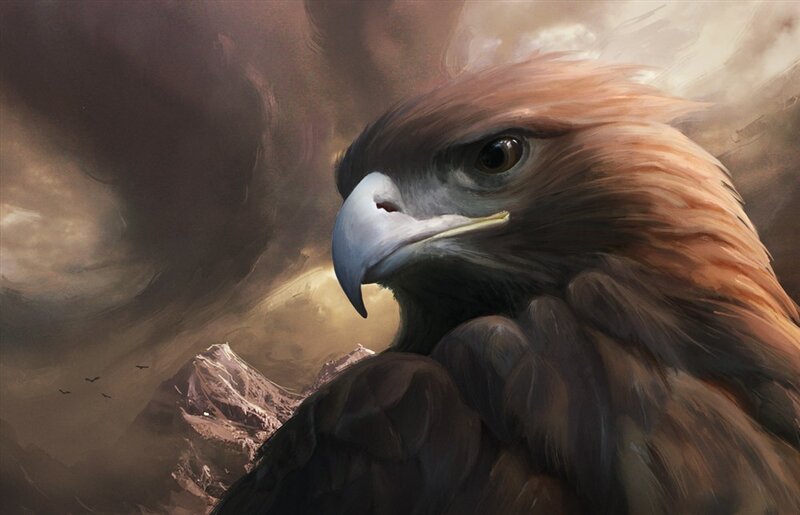 Golden Eagle Head — Brown, Dramatic, Sunset