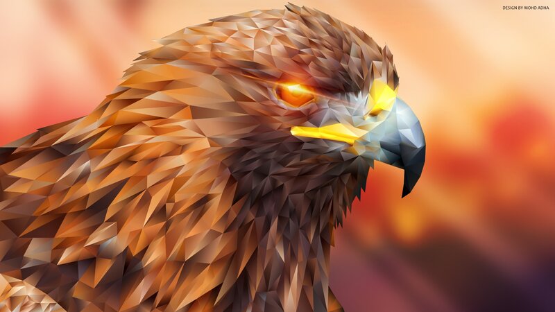 Golden Eagle Head — Orange