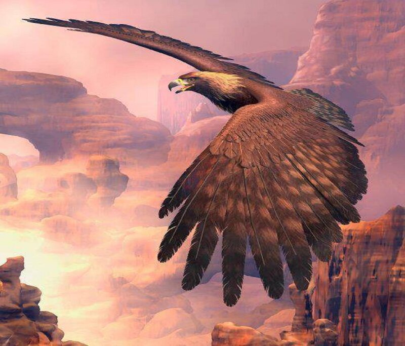 Golden Eagle in Flight — Brown, Dramatic, Sunset