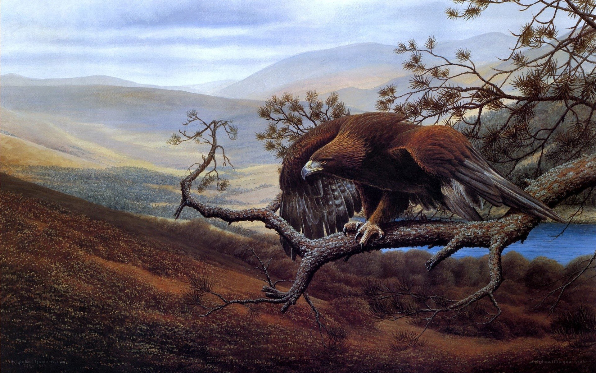 Golden eagle on a branch