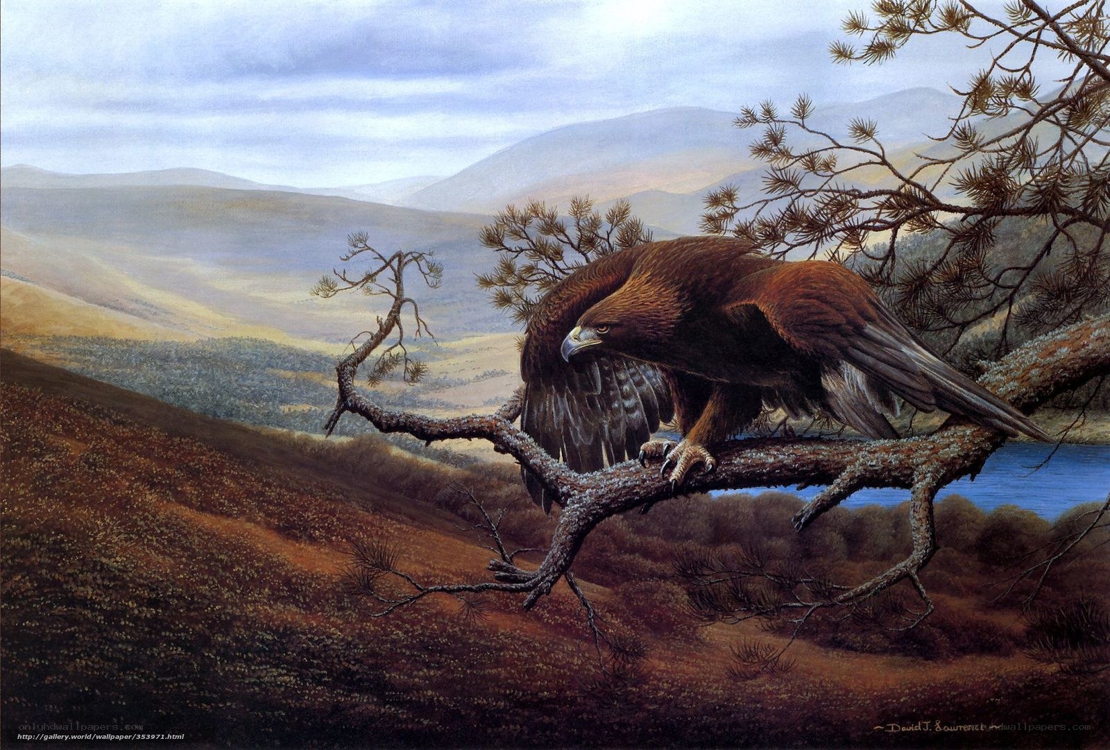 Golden eagle on a branch