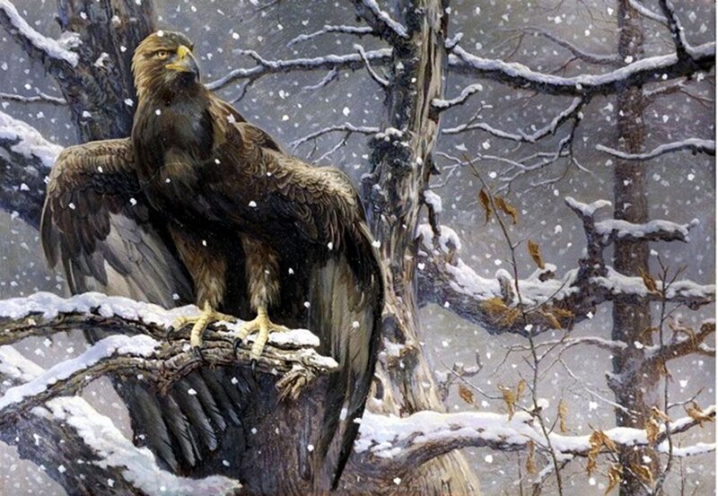 Golden Eagle on Branch — Brown, Cold