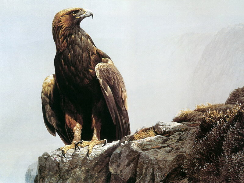 Golden Eagle on Rock — Brown, Dramatic, Painting, Clouds