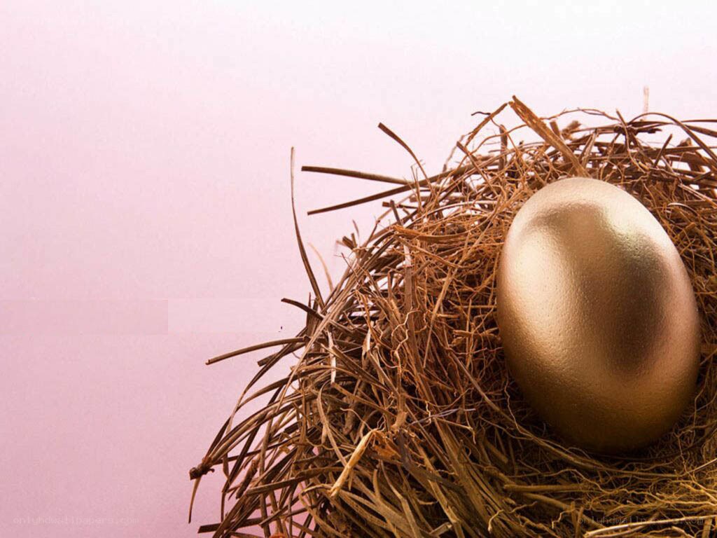 golden egg in a nest