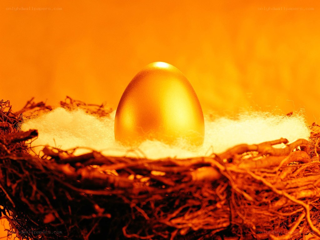 golden egg in a nest