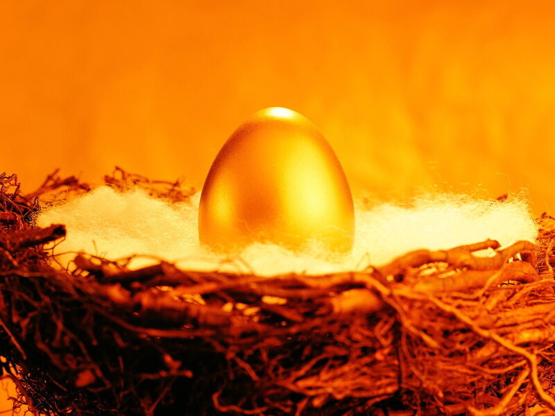 Golden Egg in Nest — Gold, Dramatic, Photograph, Fluff