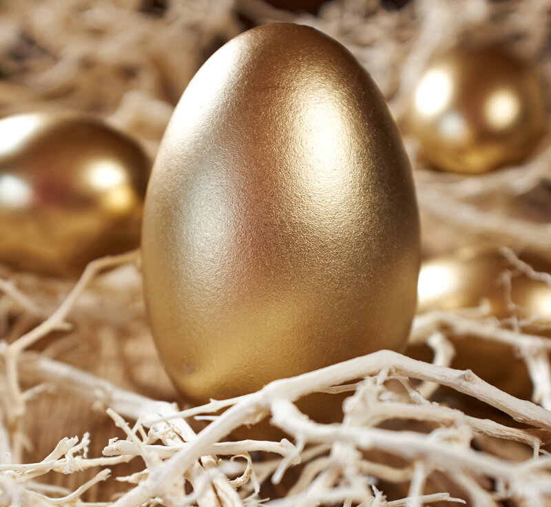 Golden Egg in Nest — Gold
