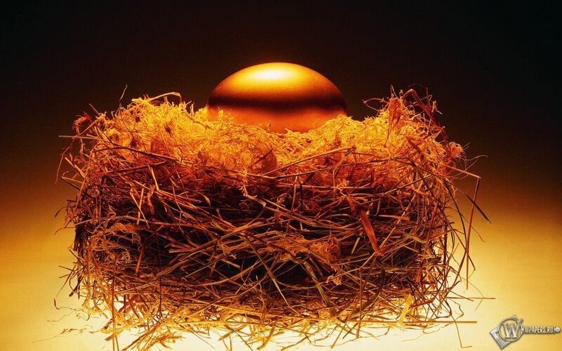 Golden Egg in Nest