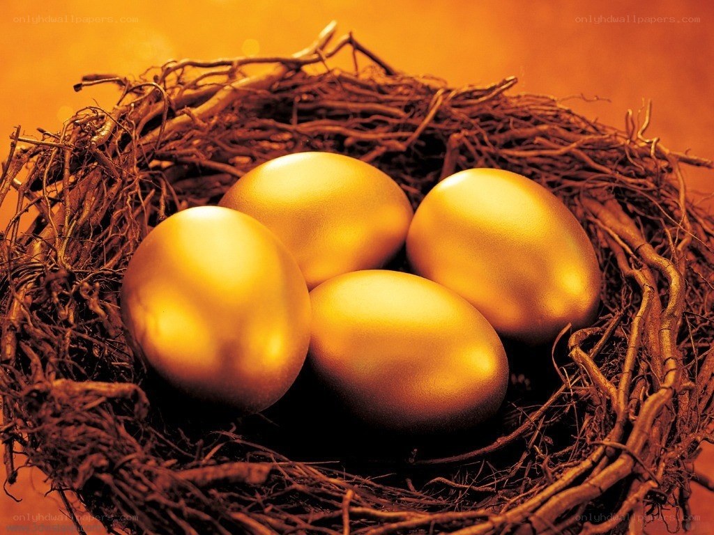 Golden eggs in a nest