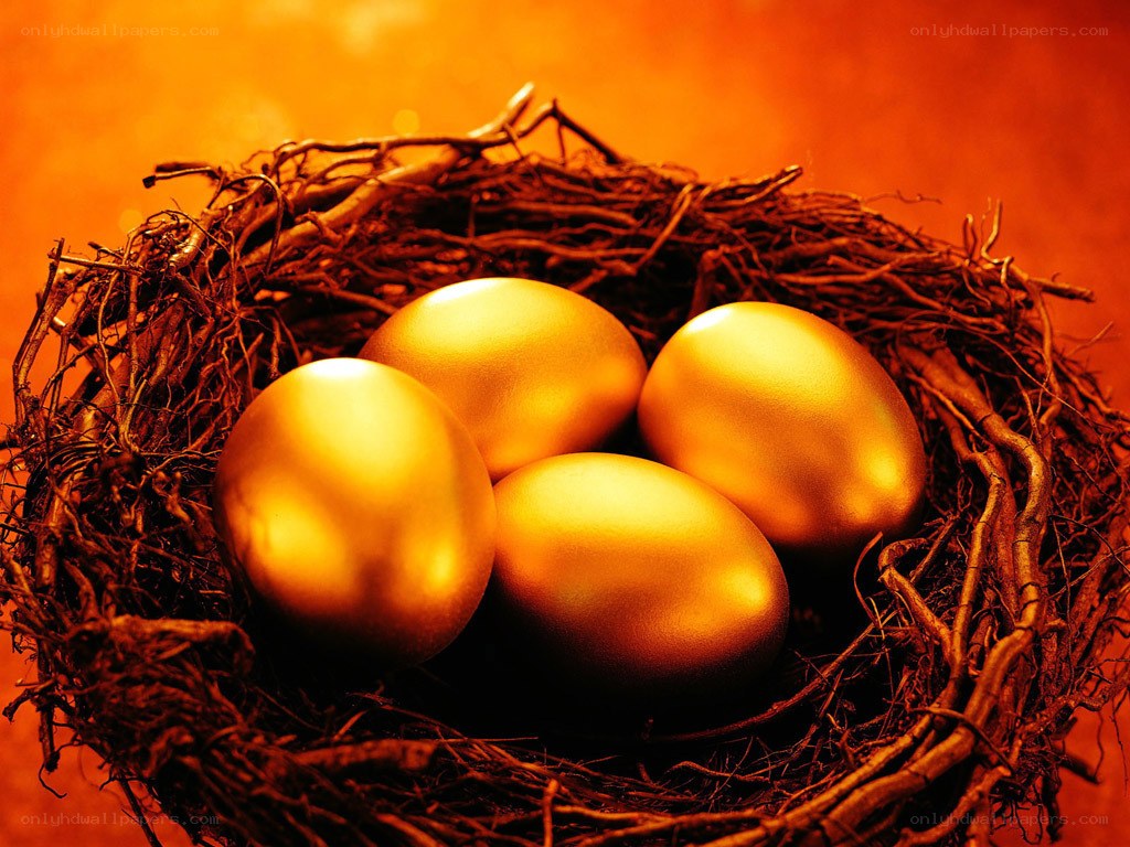 golden eggs in a nest
