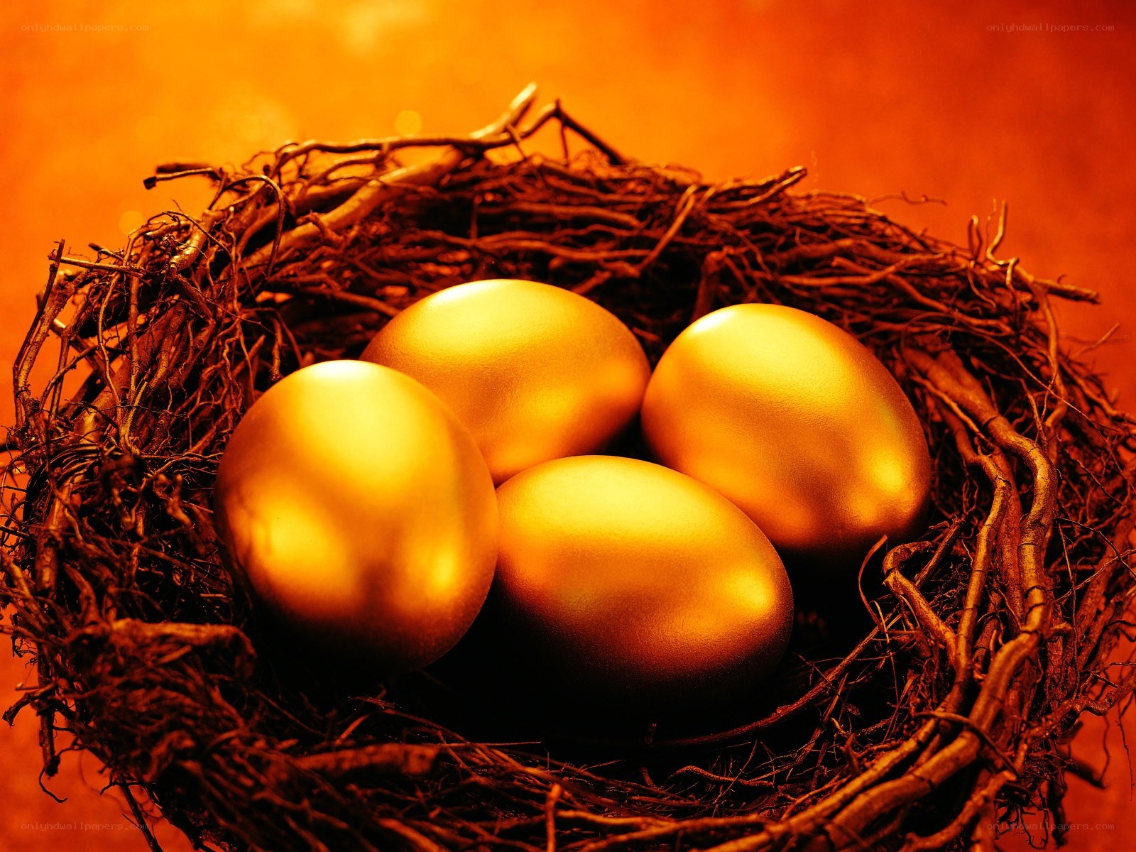 golden eggs in a nest