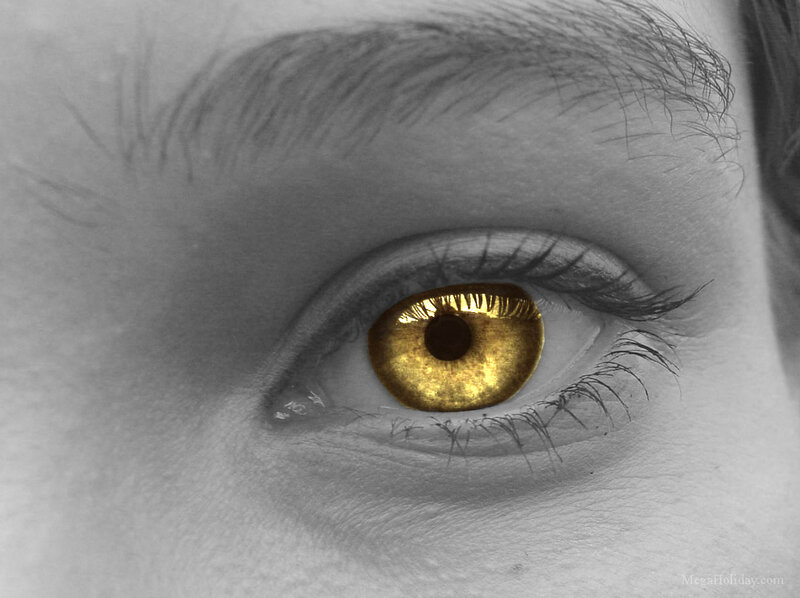 golden eye close-up
