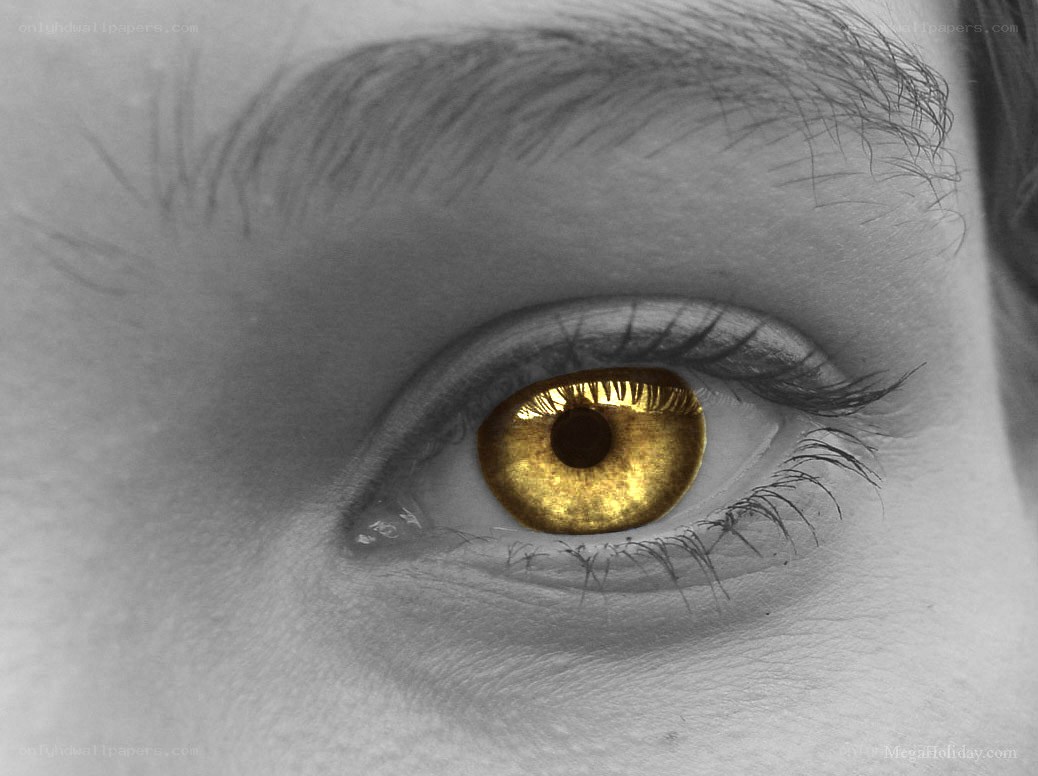 golden eye close-up