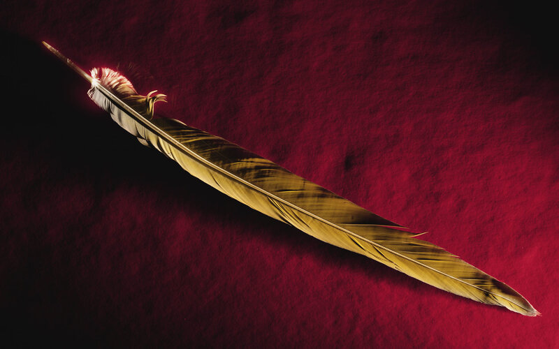 golden feather on red fabric