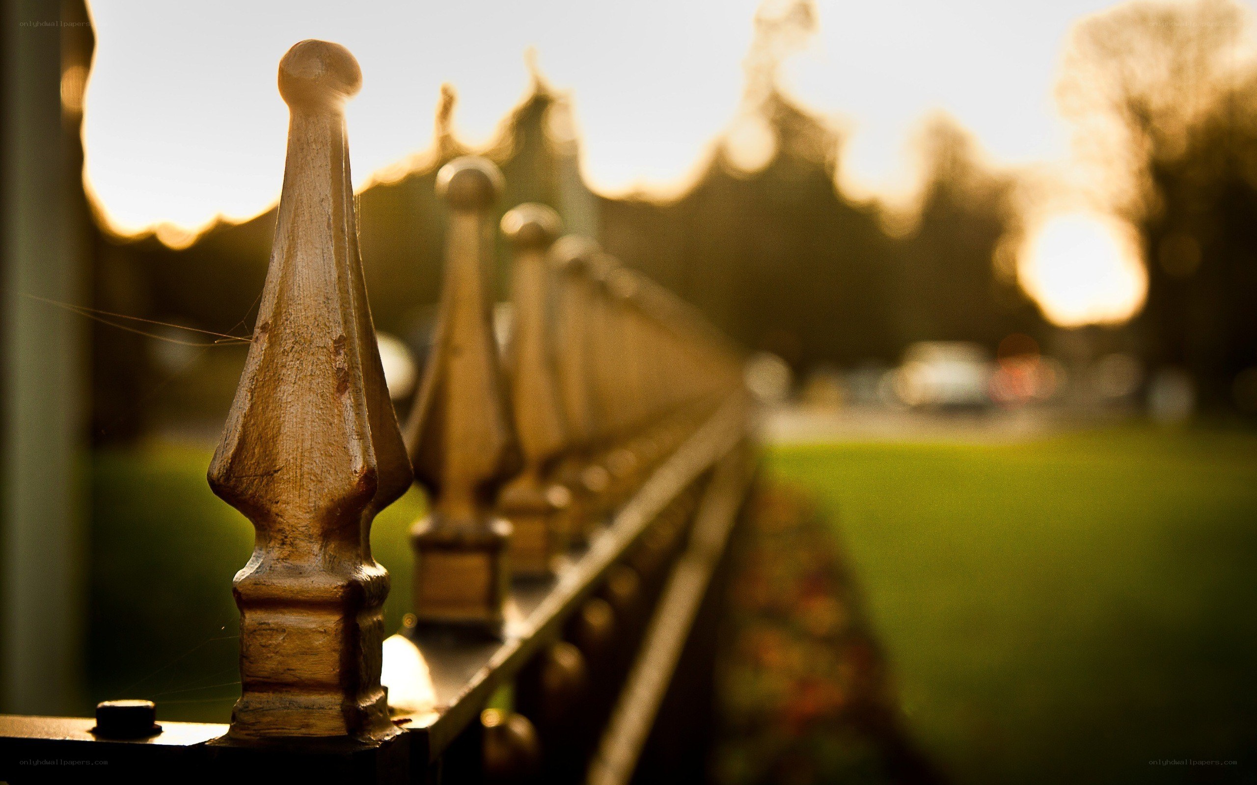 golden fence at sunset