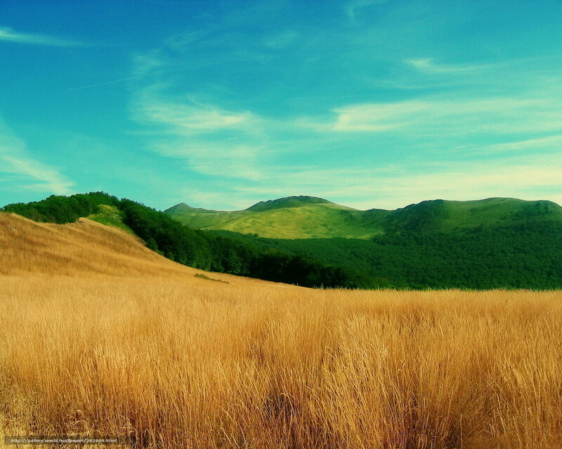 Golden Field and Green Hills — Gold