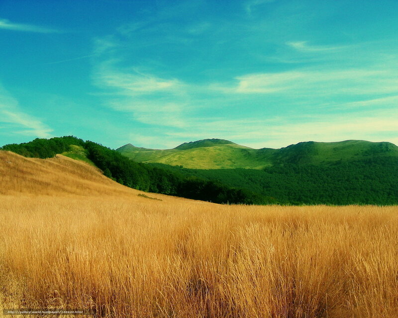 Golden Field and Green Hills