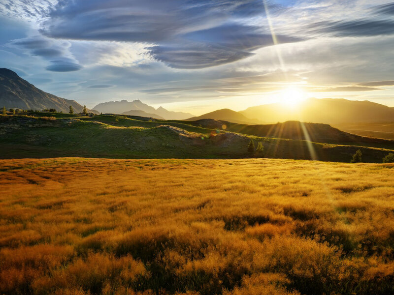 Golden Field at Sunset — Gold