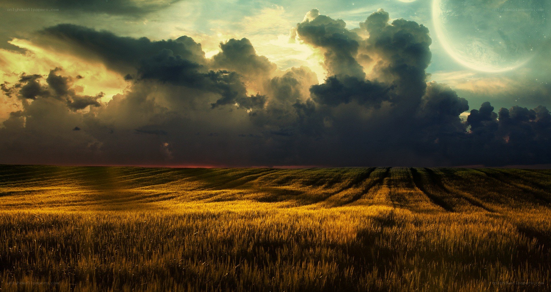 Golden field under alien sky