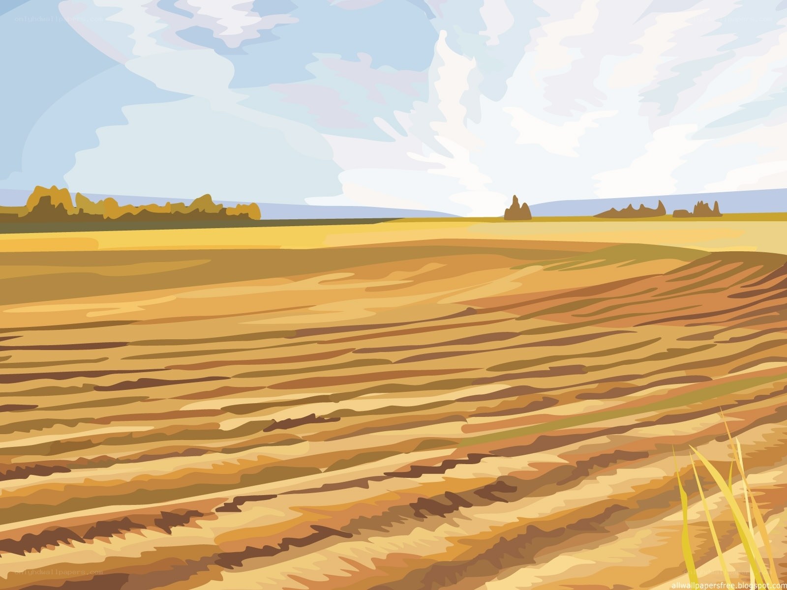 Golden field under cloudy sky