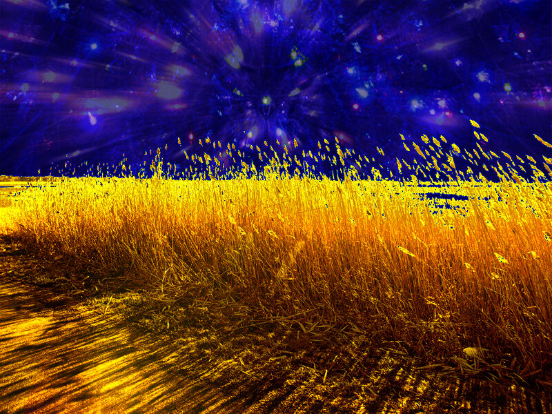 Golden Field under Starry Sky — Yellow