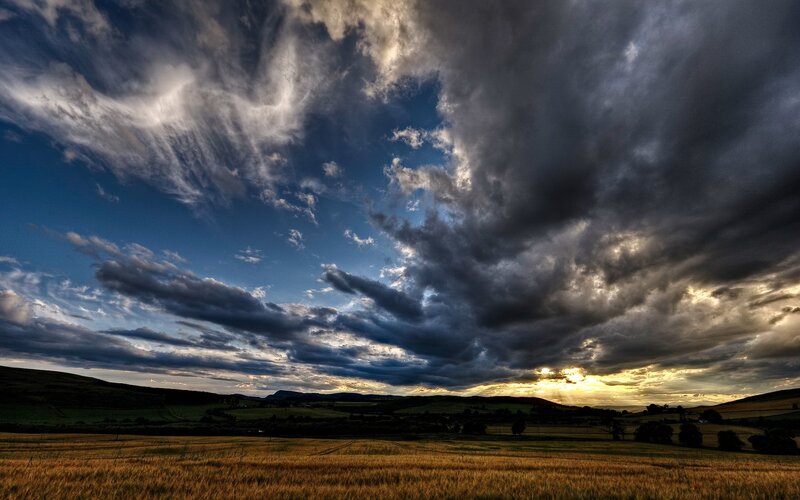 Golden Field under Stormy Sky — Blue, Dramatic