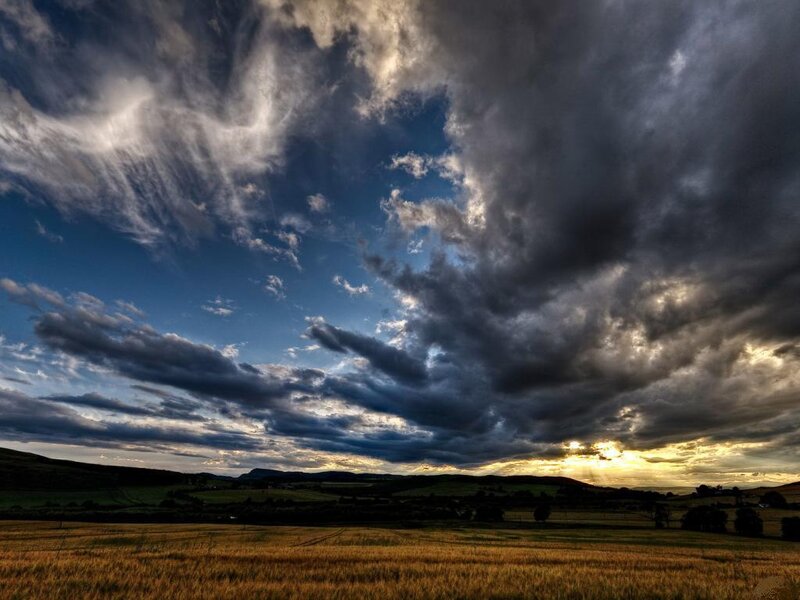 Golden Field under Stormy Sky — Blue