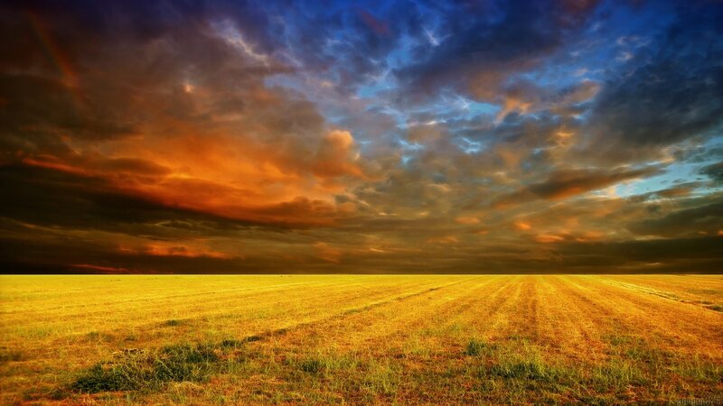 Golden Field under Stormy Sky — Yellow, Dramatic, Sunset, Photograph, Clouds