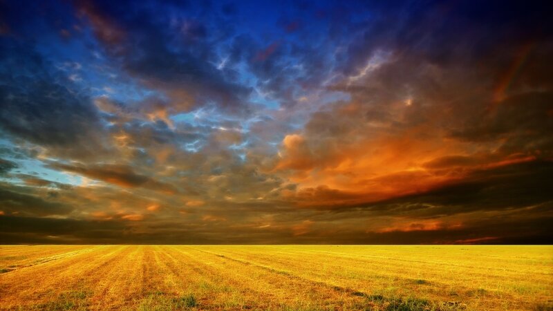 Golden Field under Stormy Sky — Yellow, Dramatic, Sunset, Photograph