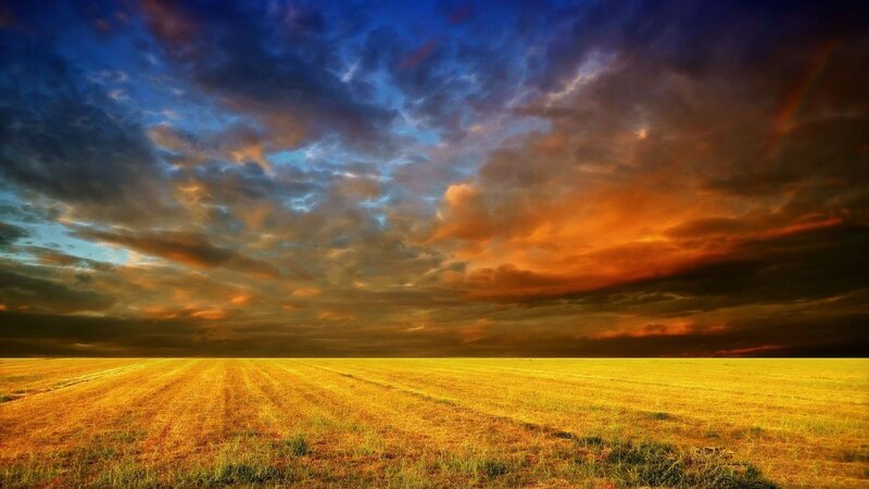 Golden Field under Stormy Sky — Yellow, Dramatic