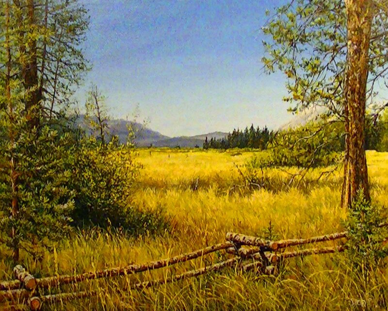 Golden Field with Fence