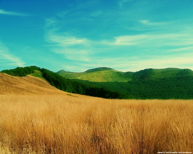 Golden field with green hills